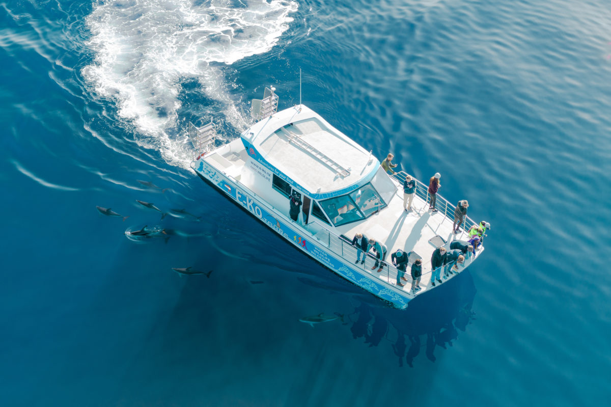 Introduction to How to Find a Trustworthy Yacht Rental Company in MiamiRenting in Miami 1 Our Boat